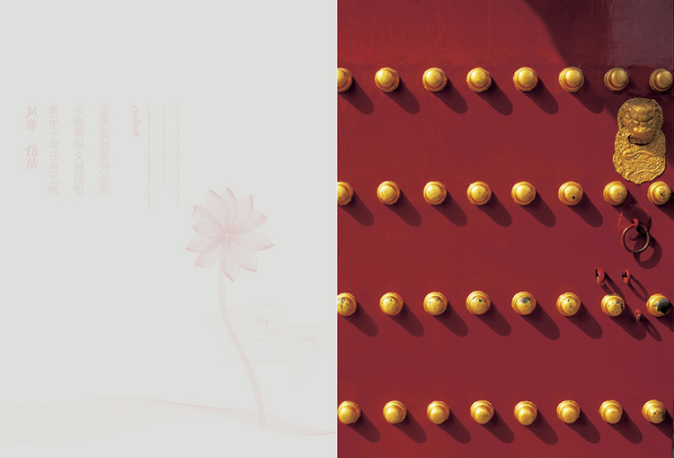 上-10b.jpg